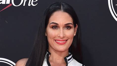 Wwe Comments On Nikki Bellas Dancing With The Stars Casting Dolph