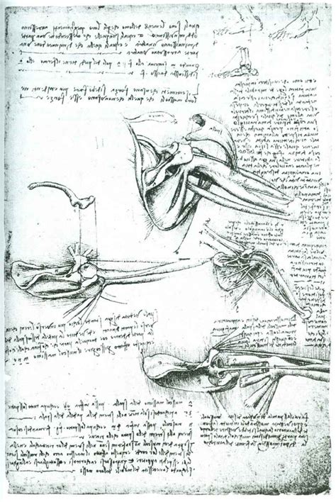 The human body has more than 50 different cell types, before bacteria are even added to the mix. Leonardo da Vinci on the Human Body - Anatomical Drawings