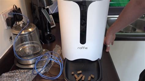 Testing Roffie Automatic Cat Feeder Dog Food Dispenser For Small