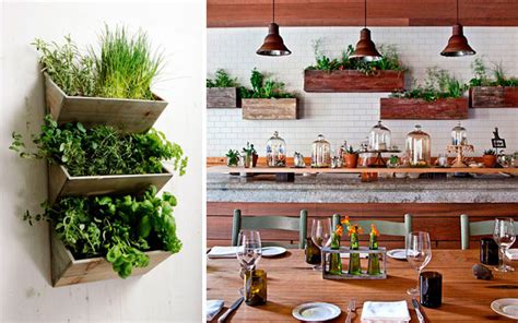 ¿no quieres lidiar con el tiempo y el desorden? | Ideas originales para decorar la cocina con plantas