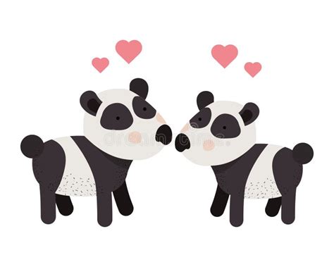 Cute Couple Of Bears In Love On White Background Stock Vector