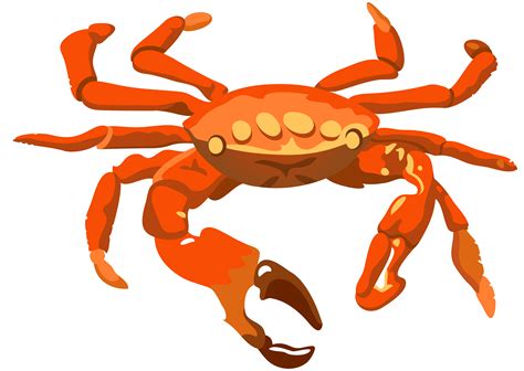 Clipart Png Crab Clipart Png Crab Transparent Free For Download On Webstockreview