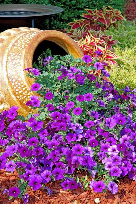 Plant flowers in a pot. Potted Garden Design Ideas & Tips | outdoortheme.com
