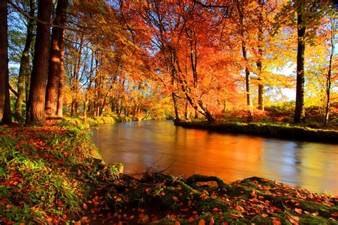 river-in-autumn-forest-hd-wallpaper-background-image-2500x1667