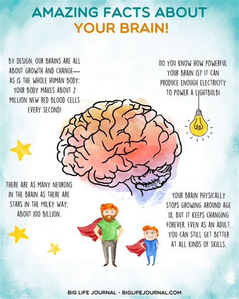 How To Explain Growth Mindset To Kids Neuroplasticity Activities