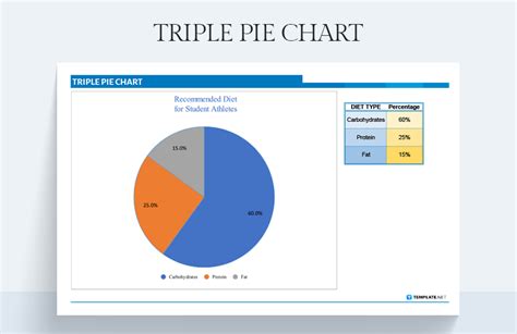 TRIPLE PIE CHART Google Sheets Excel Template Net