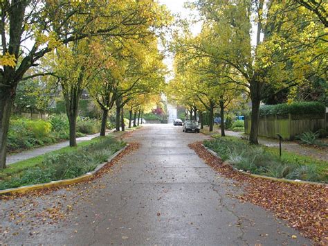 It has become a tool to combat speeding and other unsafe behaviours of drivers in the. Portland Green Streets : Traffic Calming SuDS | Green street, Sustainable landscaping