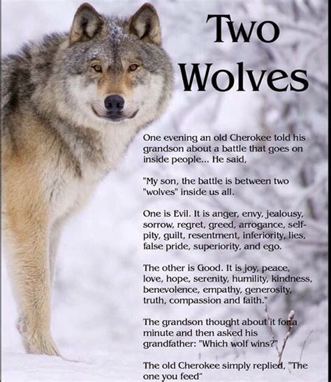 Find, read, and share wolves quotations. Feed the courage wolf... | Two wolves, Native american ...