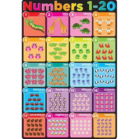 Smart Poly Chart Numbers 1 20 13 X 19