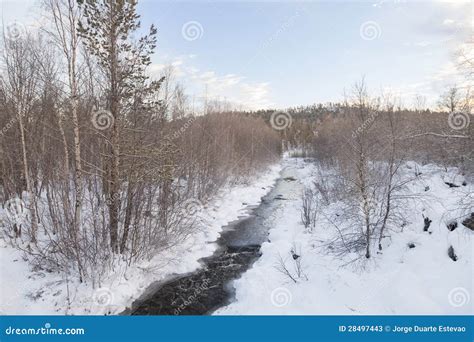 Frozen Lake In Inari Finland Stock Image Image Of Blue Landscape