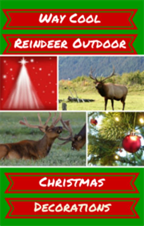 Animal & reindeer outdoor christmas decorations. Reindeer Outdoor Christmas Decorations