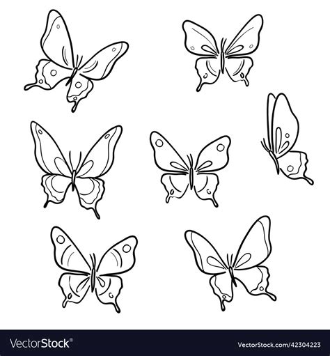 Line Art Butterfly Royalty Free Vector Image Vectorstock