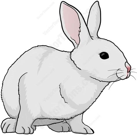 White Rabbit Cartoon Png Cartoon Children Cartoon White Rabbit Head