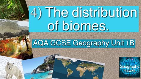 4 Distribution Of Biomes Aqa Gcse Geography Unit 1b Youtube