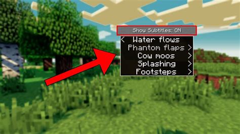 How To Enable Subtitles In Minecraft 119 Youtube