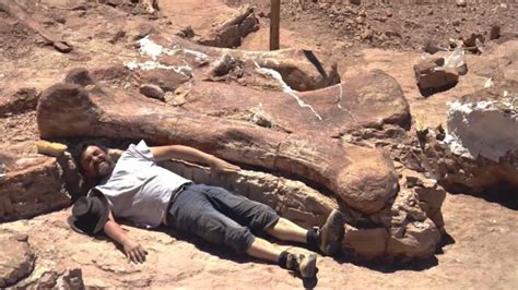 Titanosaurs The Largest Animals To Ever Walk On Earth The Science