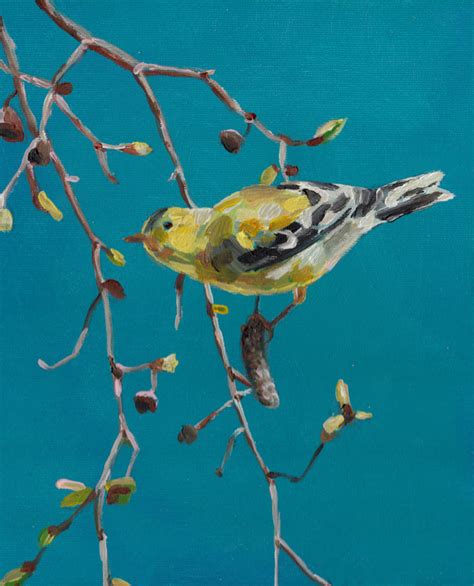 Bird On Branch By Tali Yalonetzki On Artfully Walls Artfully Walls