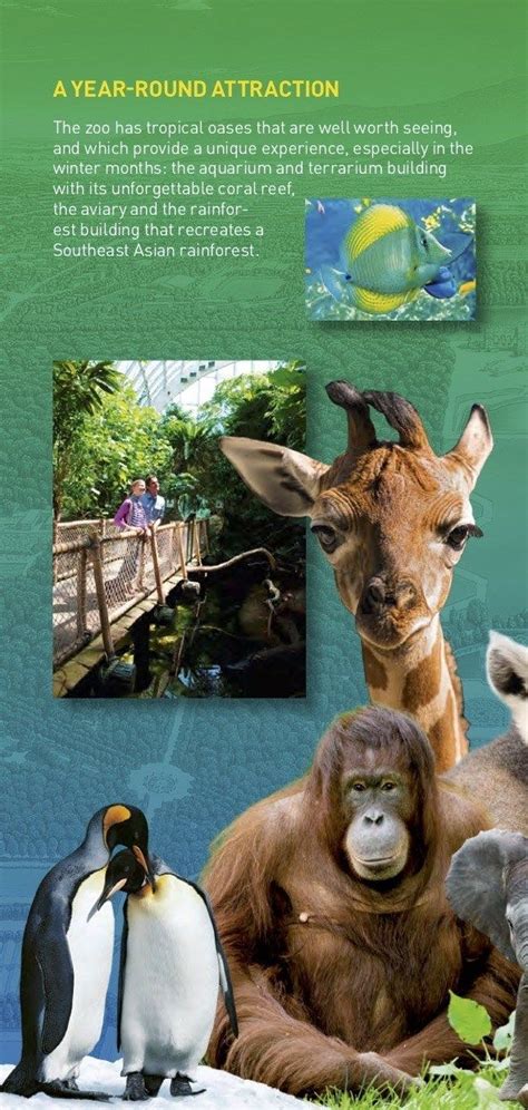 Vienna Zoo Tiergarten Schönbrunn Map Brochure Guide Maps Online