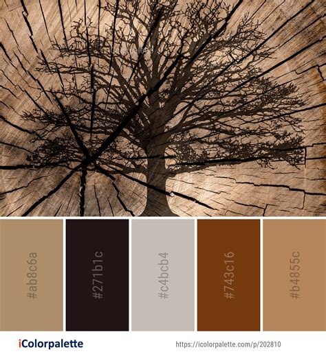 Color Palette Ideas From 4803 Tree Images Icolorpalette Color