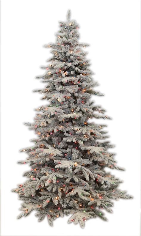 Snowy Mountain Pine Beautiful Tree Dry Tree Christmas Tree
