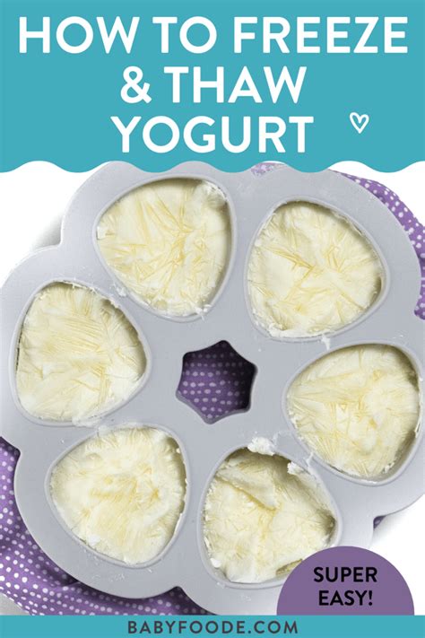 How To Freeze Yogurt Laptrinhx News