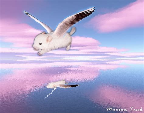 Chinchilla On Pink Clouds Furry Cute Rodents Wings Chinchillas