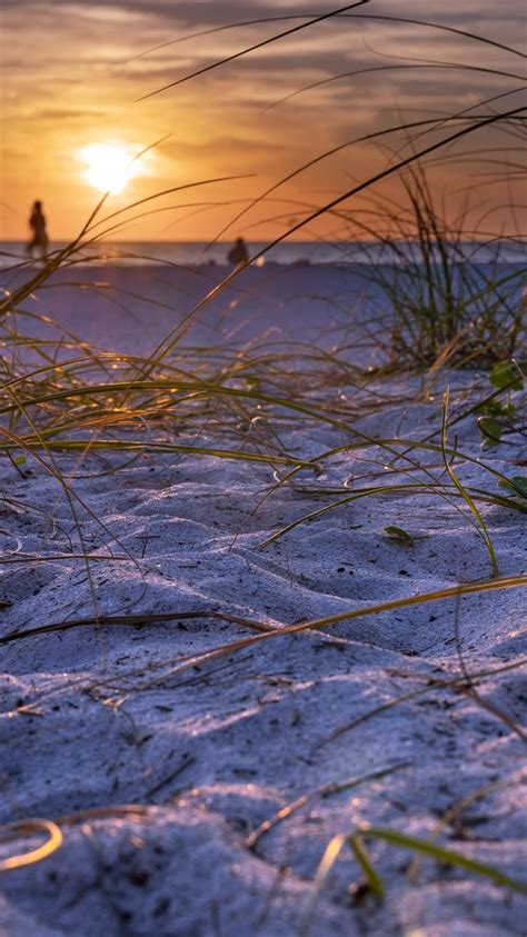 Wallpaper Beach Sands Grass Sunset 2560x1600 Hd Picture Image
