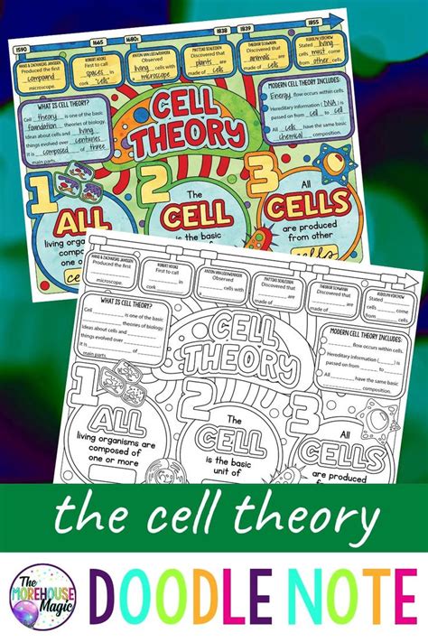 Animal cells usually have an irregular shape, and plant cells usually have a regular shape. Cell Theory Doodle Notes | Science Doodle Notes [Video ...