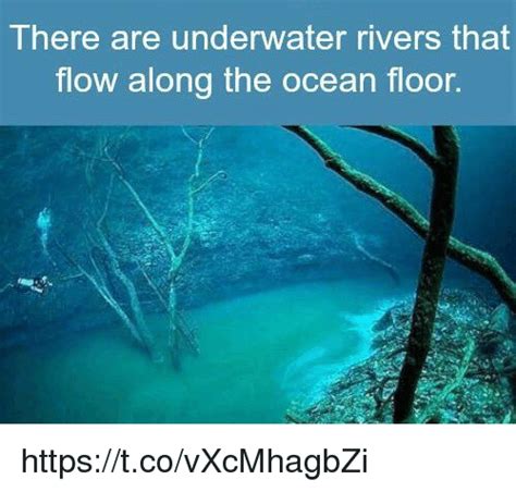 There Are Underwater Rivers That Flow Along The Ocean Floor