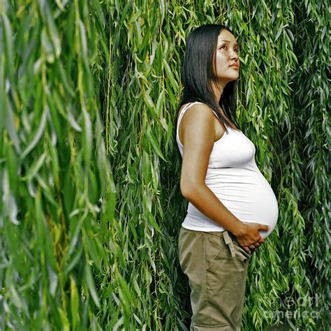 Pregnant Woman Photograph By Cecilia Magill Science Photo Library