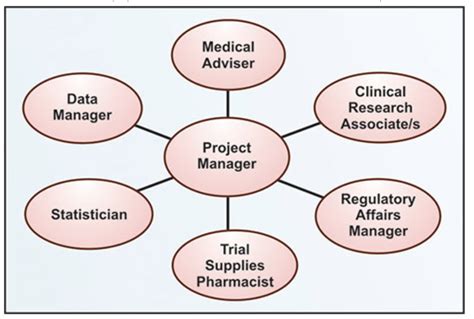 The Clinical Trials Team Roles And Responsibilities Ccrps