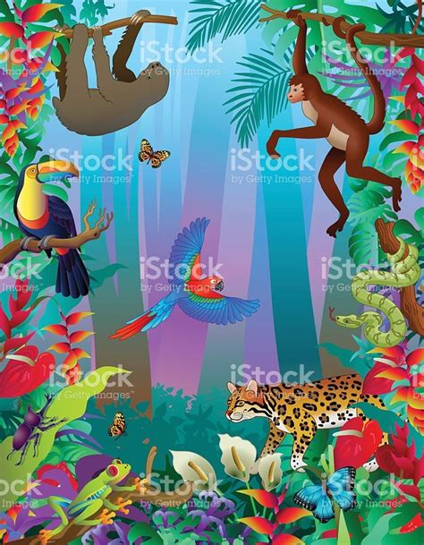 A Vector Illustration Of An Amazon Rainforest Animals Vertical Jungle