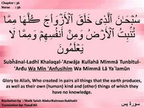 Inilah surah dan ayat yang dibaca rasulullah ketika salat 5 waktu; Surah Yasin Ayat 36 For Marriage - WICOMAIL