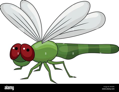 Cute Dragonfly Cartoon Stock Vector Image And Art Alamy