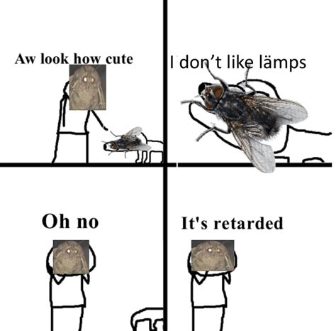 The Best Fly Memes Memedroid