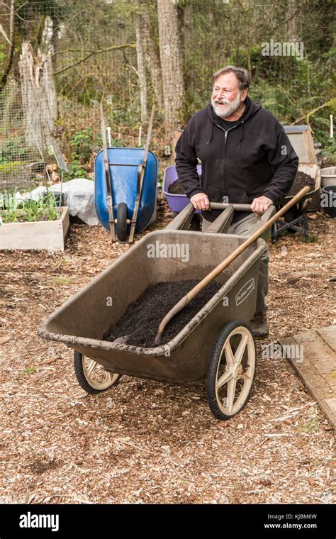 Wheelbarrow Vegetable Garden Gardening Hi Res Stock Photography And