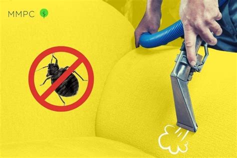 Can Steam Kill Bed Bugs Yes Heres How