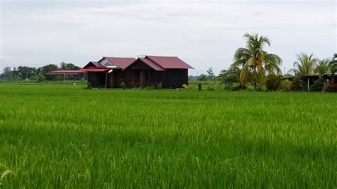 Homestay kedua kami terletak di lorong sumun, kebun baru, tebuk jawa, sabak bernam. Malaysia Travel & Lifestyle Blog : Kisah Tatie: AKTIVITI ...