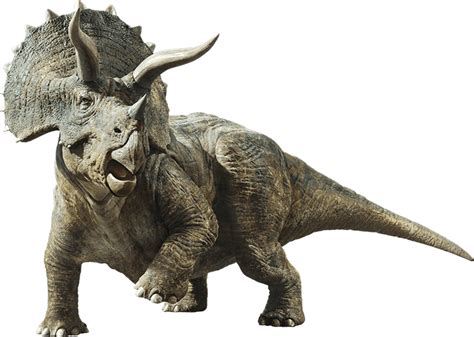 Jurassic World Fallen Kingdom Triceratops By Sonichedgehog2 On Deviantart