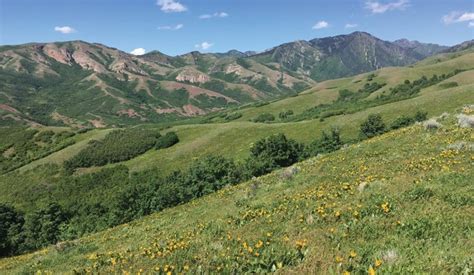 Salt Lake City Foothills Projects Public Lands Department