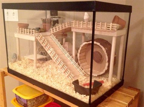 Diy Hamster House Diy Hamster House Hamster Diy Cage Gerbil Cages Hamster Life Hamster