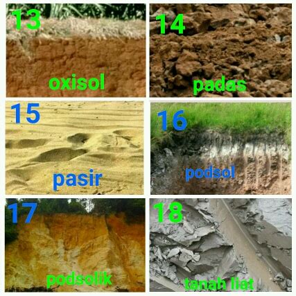 Eksperimen amali resapan tanah dunia sains & teknologi tahun 3 2017. Beraneka Ragaman Jenis Tanah yang Ada di Indonesia ...