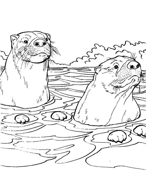 Sea Otter Adult Coloring Pages