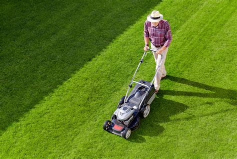 Choose A Finest Lawn Mowing Service Provider To Take Care Of Your