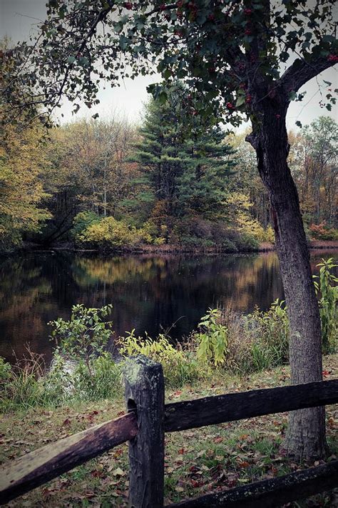 Roosevelt Pond Stratford Ct Photograph By Thomas Henthorn Pixels