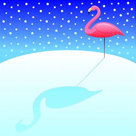 Royalty Free Plastic Flamingo Clip Art Vector Images And Illustrations