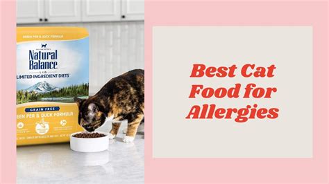 Check spelling or type a new query. Best Cat Food for Allergies - YouTube