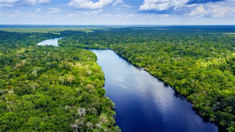 Amazon River In Brazil Windows Spotlight Images