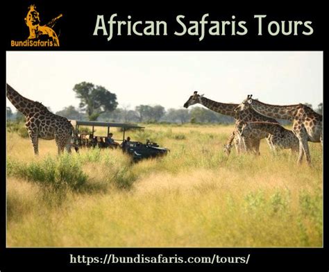 African Safaris Tours Are Famous For Its Unique Variety Of Wildlife