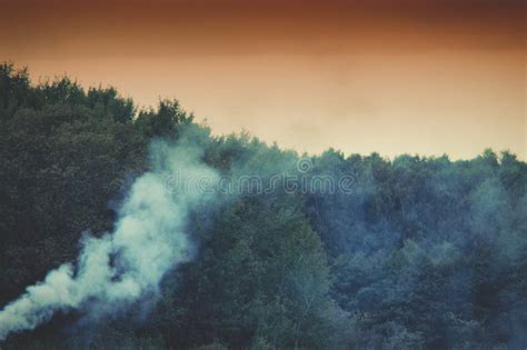 Smoke In The Forest Stock Photo Image Of Dark Natural 69275176